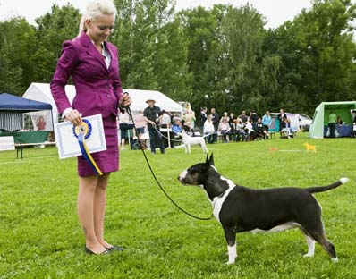 basta handler Ann Jeanette Stehaug Jensen