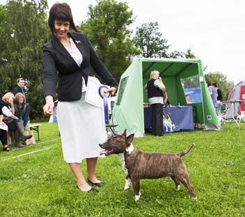 basta handler Mari Kukkonen