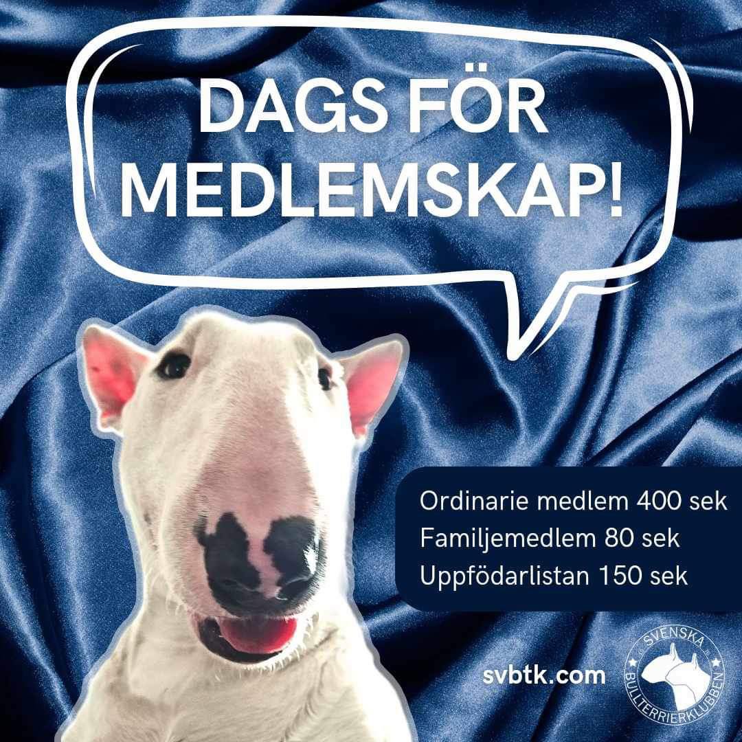 Dags att förnya ditt medlemskap