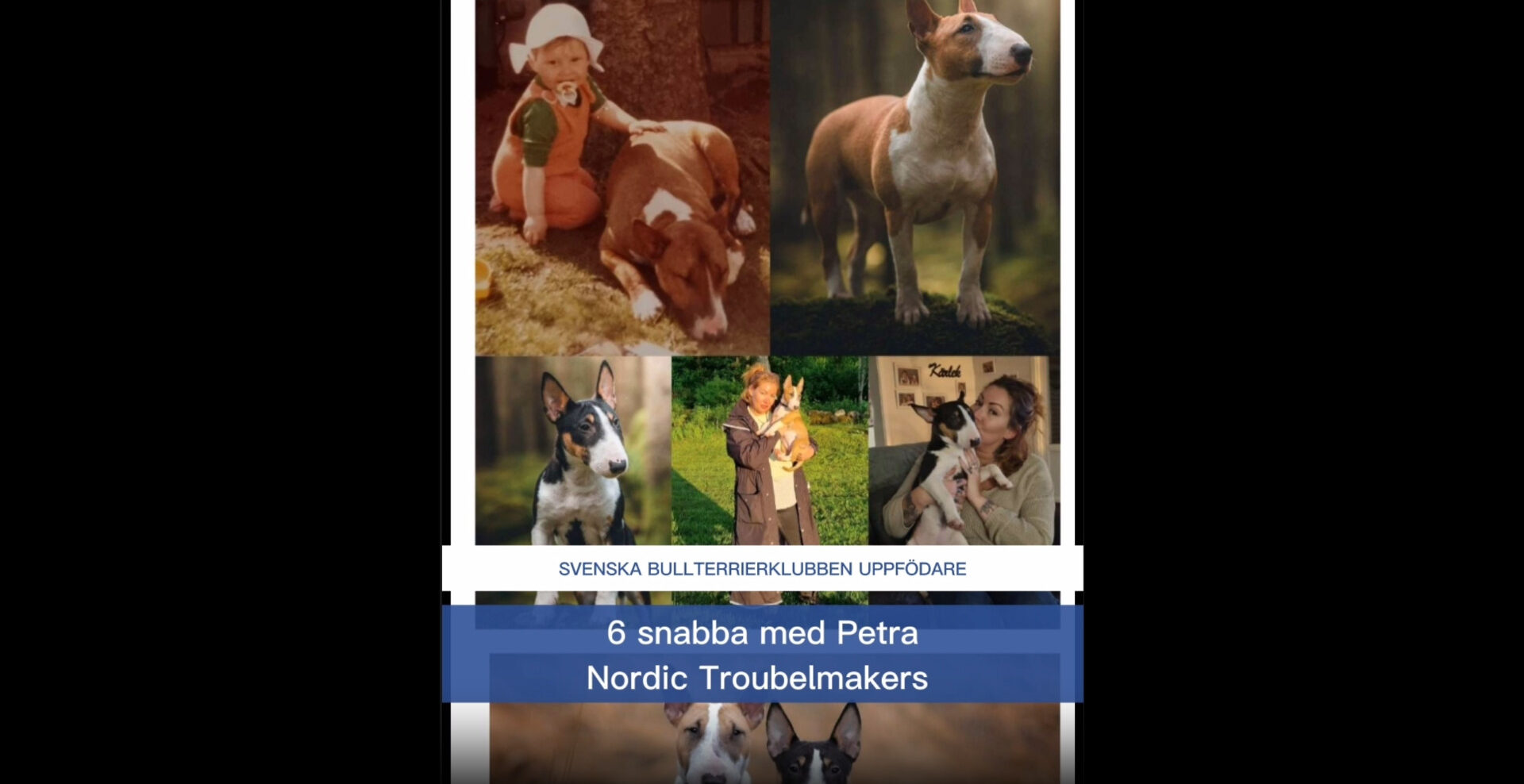 6 SNABBA MED PETRA – NORDIC TROUBELMAKERS