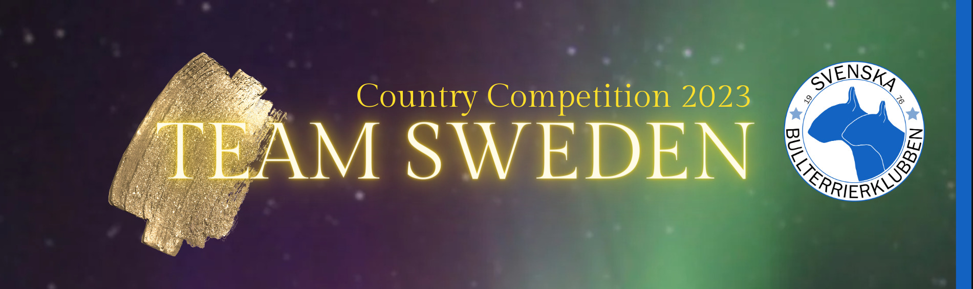 Team sweden svbtk 2023